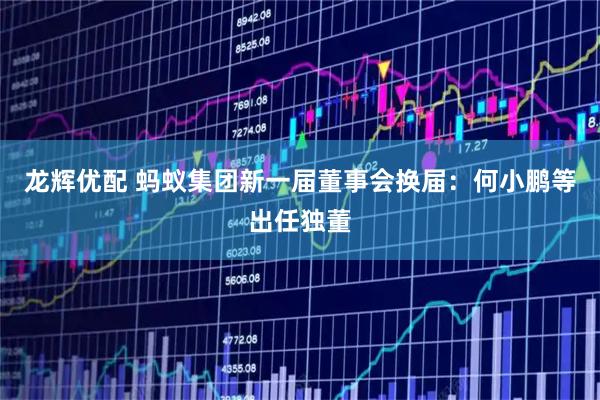 龙辉优配 蚂蚁集团新一届董事会换届：何小鹏等出任独董